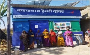 झाबुआ जिले का देश विदेश में प्रसिद्ध है कड़कनाथ मुर्ग़ा | New India Times