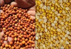 टमाटर के भाव हुए लाल, जनता का हो रही है बेहाल, 150 के पार पहुंचा टमाटर, सब्जियों पर महंगाई की मार, दाल भी हुई पतली... 3 टमाटर के भाव हुए लाल, जनता का हो रही है बेहाल, 150 के पार पहुंचा टमाटर, सब्जियों पर महंगाई की मार, दाल भी हुई पतली... | New India Times