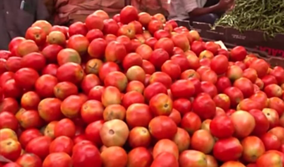 टमाटर के भाव हुए लाल, जनता का हो रही है बेहाल, 150 के पार पहुंचा टमाटर, सब्जियों पर महंगाई की मार, दाल भी हुई पतली... | New India Times