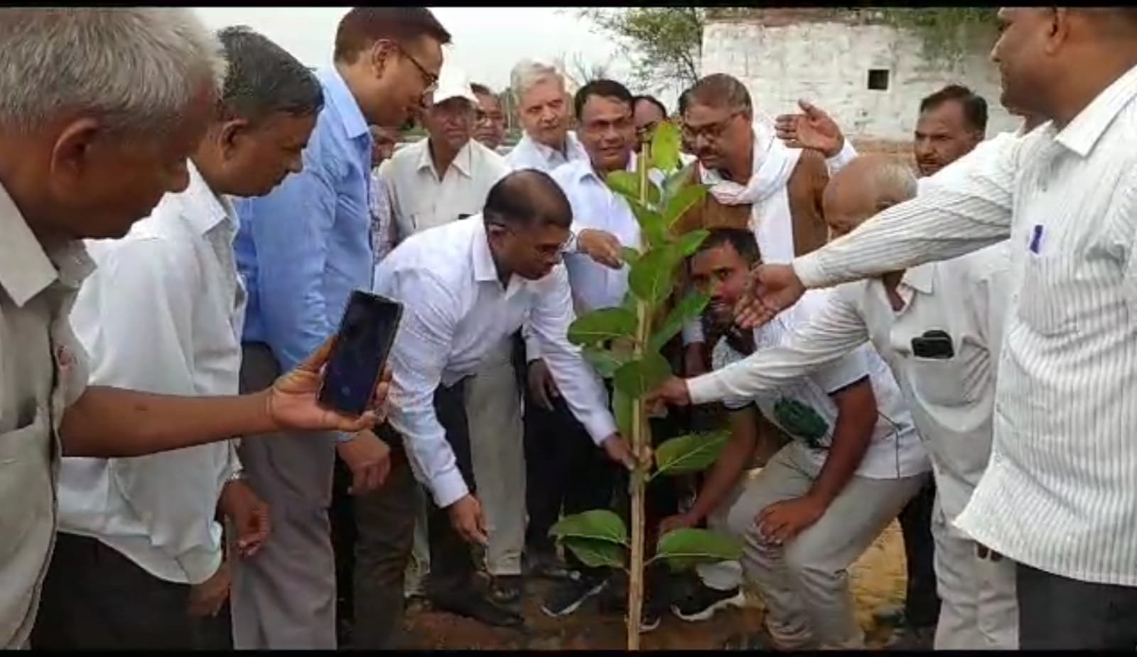 गुरु पूर्णिमा के पावन अवसर पर बौद्ध विहार काजीपुरा में किया वृक्षारोपण | New India Times