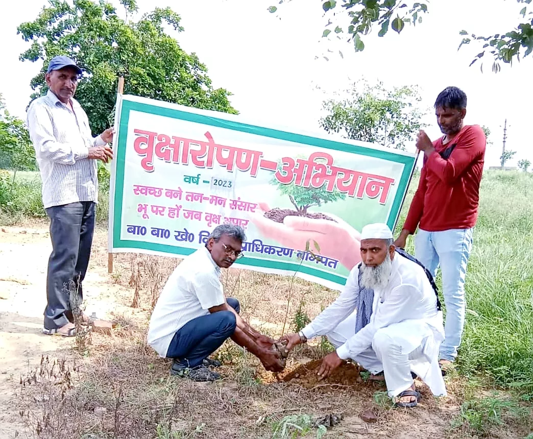 पेड़ पौधों का है मानव जीवन में महत्वपूर्ण योगदान: हाजी यासीन | New India Times