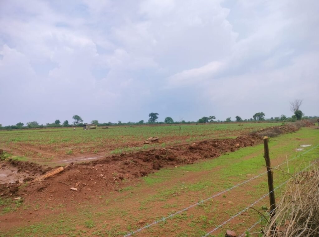 नौरादेही अभ्यारण की सीमा से लगे करीब 2 किलोमीटर क्षेत्र में राजस्व की छोटे घास चरनोंई की करीब 500 एकड़ भूमि पर हुआ अतिक्रमण | New India Times