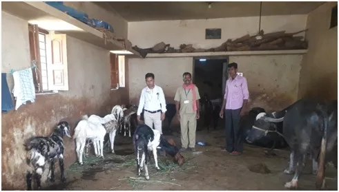 विभागीय योजना से महिला के जीवन में हुआ बदलाव | New India Times