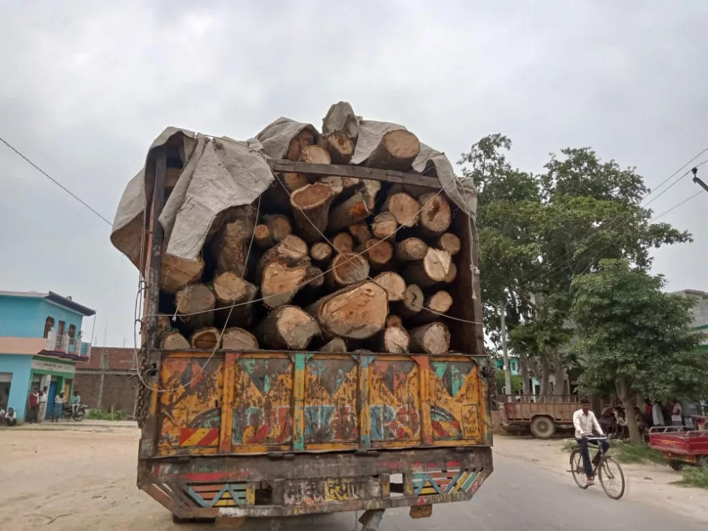 मैगलगंज रेंजर ने मोटी रकम लेकर अवैध लकड़ी से भरे ट्रक को छोड़ा, एआरटीओ ने आम की लकड़ी से भरे ट्रक को पकड़ कर मैगलगंज रेंजर के किया था सुपुर्द 2 मैगलगंज रेंजर ने मोटी रकम लेकर अवैध लकड़ी से भरे ट्रक को छोड़ा, एआरटीओ ने आम की लकड़ी से भरे ट्रक को पकड़ कर मैगलगंज रेंजर के किया था सुपुर्द | New India Times