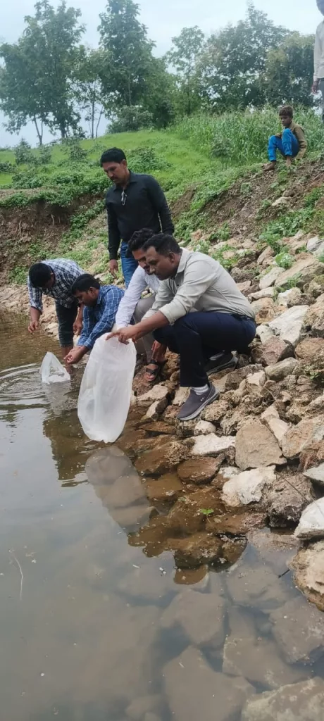महात्मा गांधी नरेगा योजना के अंतर्गत निर्मित तालाब पिपली पाड़ा में ज़िला स्तर के अधिकारियों ने डाले मत्स्य बीज | New India Times