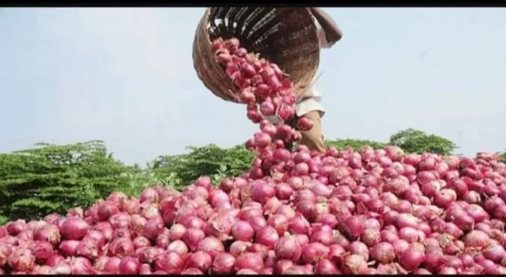 गुस्से में किसान, सरकार को रुला रहा प्याज़, कपास की तरह खोखले साबित हो रहे हैं मंत्रियों के आश्वासन, नेताओं के लच्छेदार भाषणों से किसानों को गुमराह करने का हो रहा है प्रयास | New India Times
