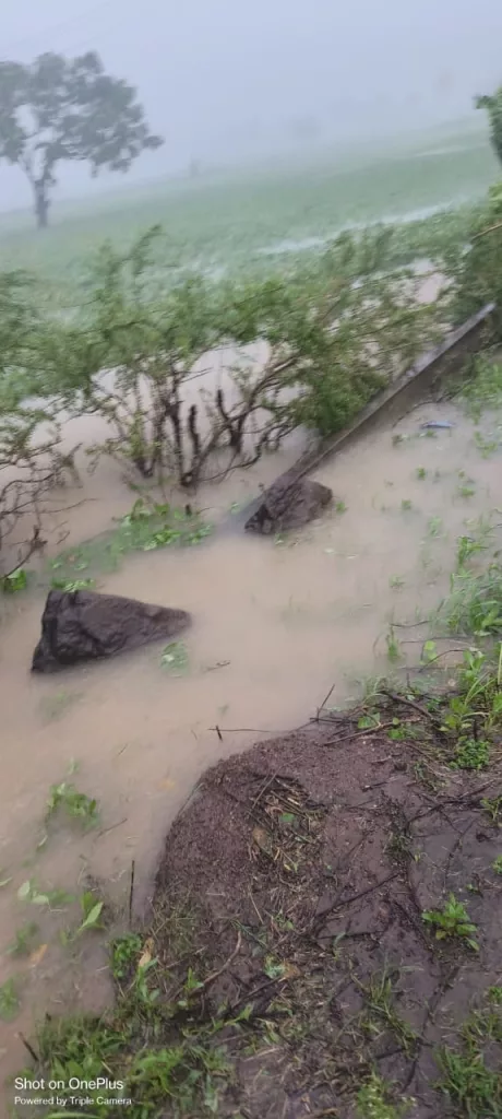 धार जिले में झमाझम बारिश का दौर जारी | New India Times