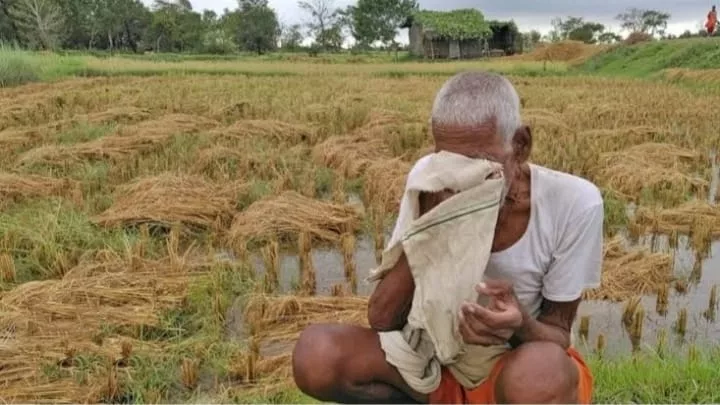 जलगांव जिले में कई गांवों का संपर्क टूटा, मूसलाधार बारिश से फसलें बर्बाद, फेस्टिवल्स की चमक में खोए मंत्री, जनता की मांग पीड़ितों की सुद लेने राजभवन से बाहर निकले गवर्नर | New India Times