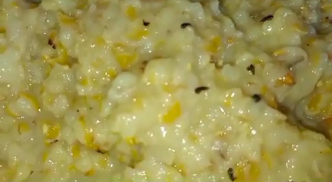 मासूम बच्चों को इल्लीयुक्त भोजन परोसने से कुपित कांग्रेस जिलाध्यक्ष ने कलेक्टर से की कड़ी कार्रवाई की मांग | New India Times