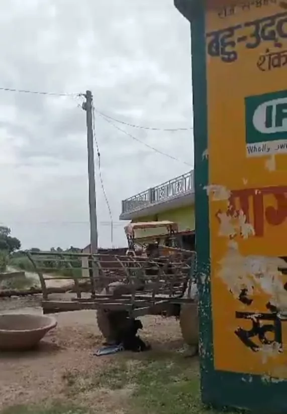 सचिव की मिली भगत से हो रहा है साधन सहकारी समिति की जगह पर अवैध कब्ज़ा 2 सचिव की मिली भगत से हो रहा है साधन सहकारी समिति की जगह पर अवैध कब्ज़ा | New India Times