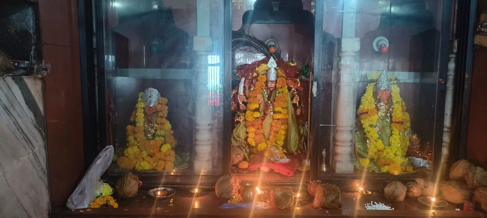 विश्व भर में नवरात्रि प्रारम्भ, निकाली गई विशाल चुनरी यात्रा | New India Times