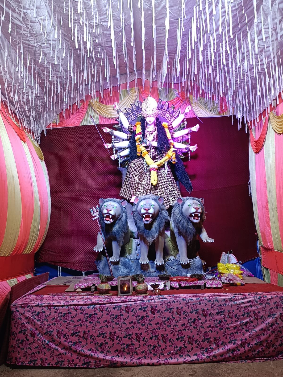 मां वाल्मीकि झांकी समिति द्वारा लगाई गई मां दुर्गा की अष्टभुजा, झांकी बनी आकर्षण का केंद्र, किया गया नृत्य का आयोजन | New India Times