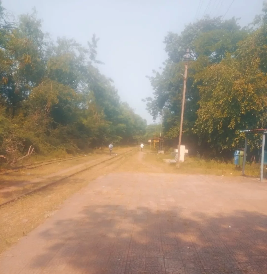 स्टेडियम के कारण ख़त्म होगी जैव विविधता, ब्रॉडगेज प्रोजेक्ट में ऑक्सीजन पार्क को सुरक्षित करने की मांग, डीएम ने किया PHC का निरीक्षण | New India Times