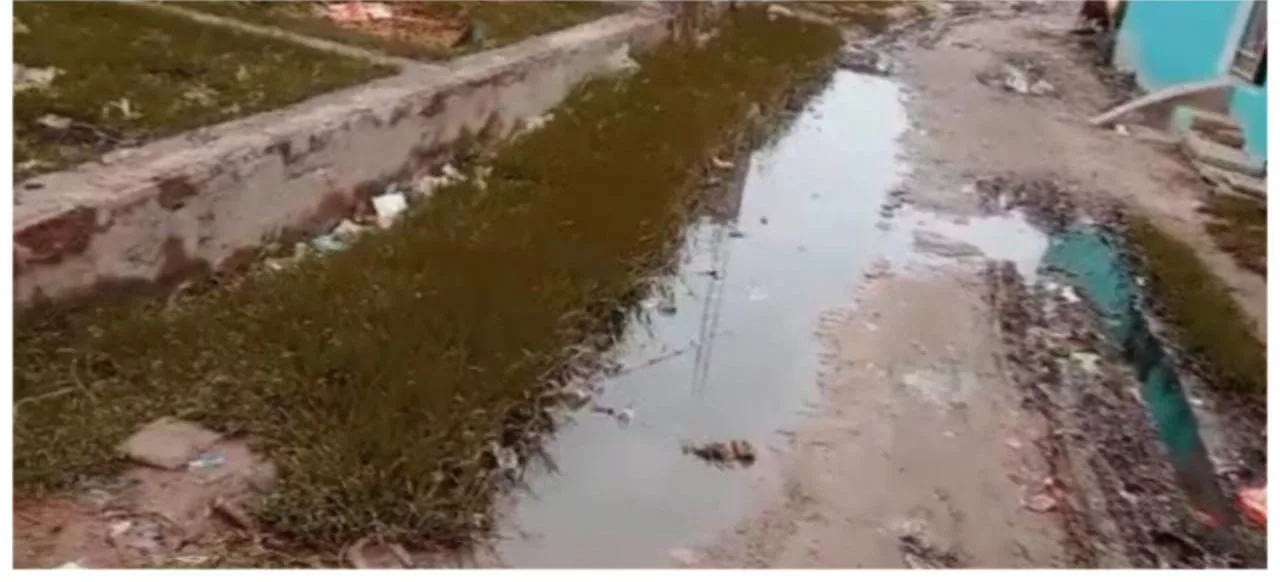 कूड़े के ढेर और बजबजाती नालियां मोदी जी के स्वच्छता अभियान का उड़ा रही हैं मजाक | New India Times