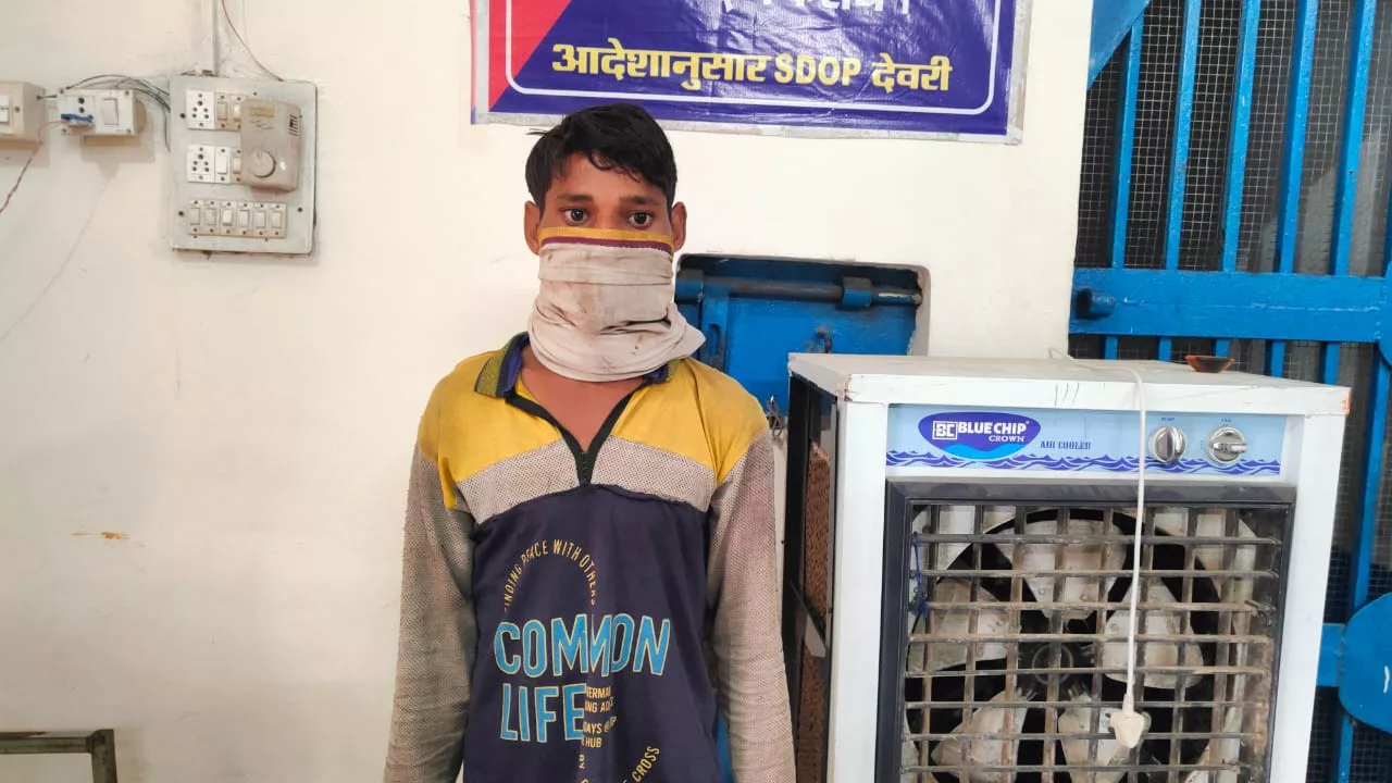 एक गाय की हत्या के मामले में पुलिस ने आरोपी को किया गिरफ्तार | New India Times