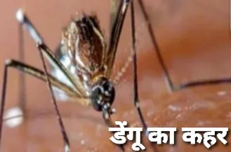 अलीराजपुर जिले के 196 गांवों में पहुंचकर बदलेंगे मच्छरदानी | New India Times