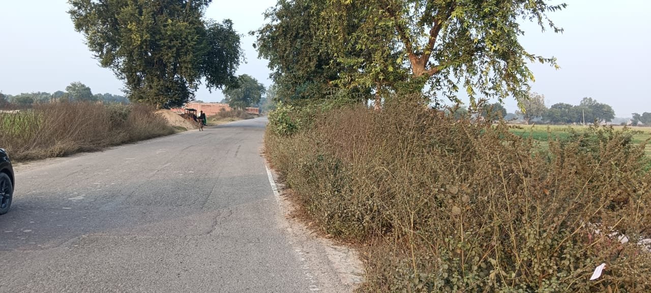 सड़क किनारे घनी झाड़ियां, रहता है दुर्घटना का अंदेशा | New India Times