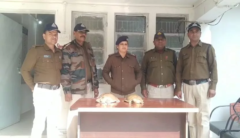 कार से हो रही थी कछुए की तस्करी, पुलिस ने दो तस्करों को किया गिरफ़्तार | New India Times