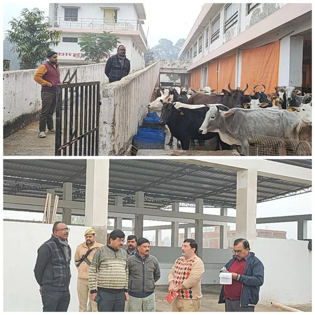नगर आयुक्त ने गौशाला का किया निरीक्षण | New India Times
