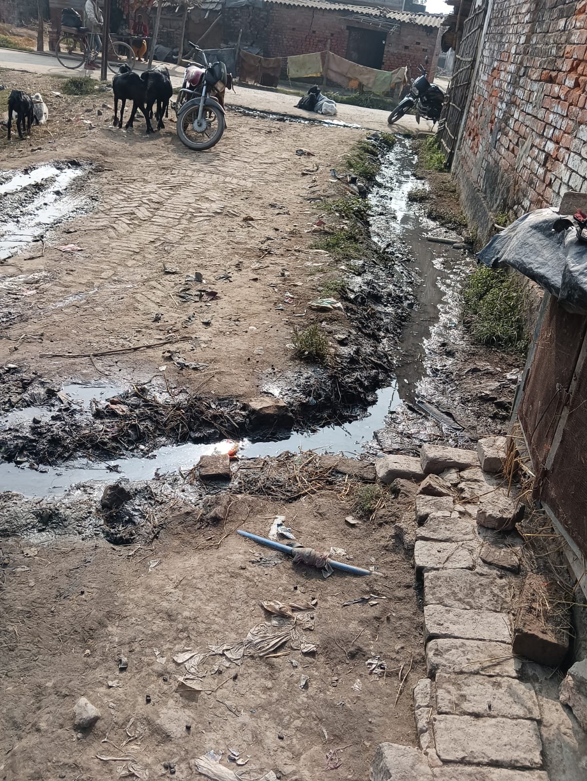 नाली नहीं सड़क है, सुथना बरसोला गांव की रोड का हाल बेहाल, 20 साल से नहीं बनी सुथना बरसोला गांव की सड़क, अब हालत बद से बदतर 1 नाली नहीं सड़क है, सुथना बरसोला गांव की रोड का हाल बेहाल, 20 साल से नहीं बनी सुथना बरसोला गांव की सड़क, अब हालत बद से बदतर | New India Times