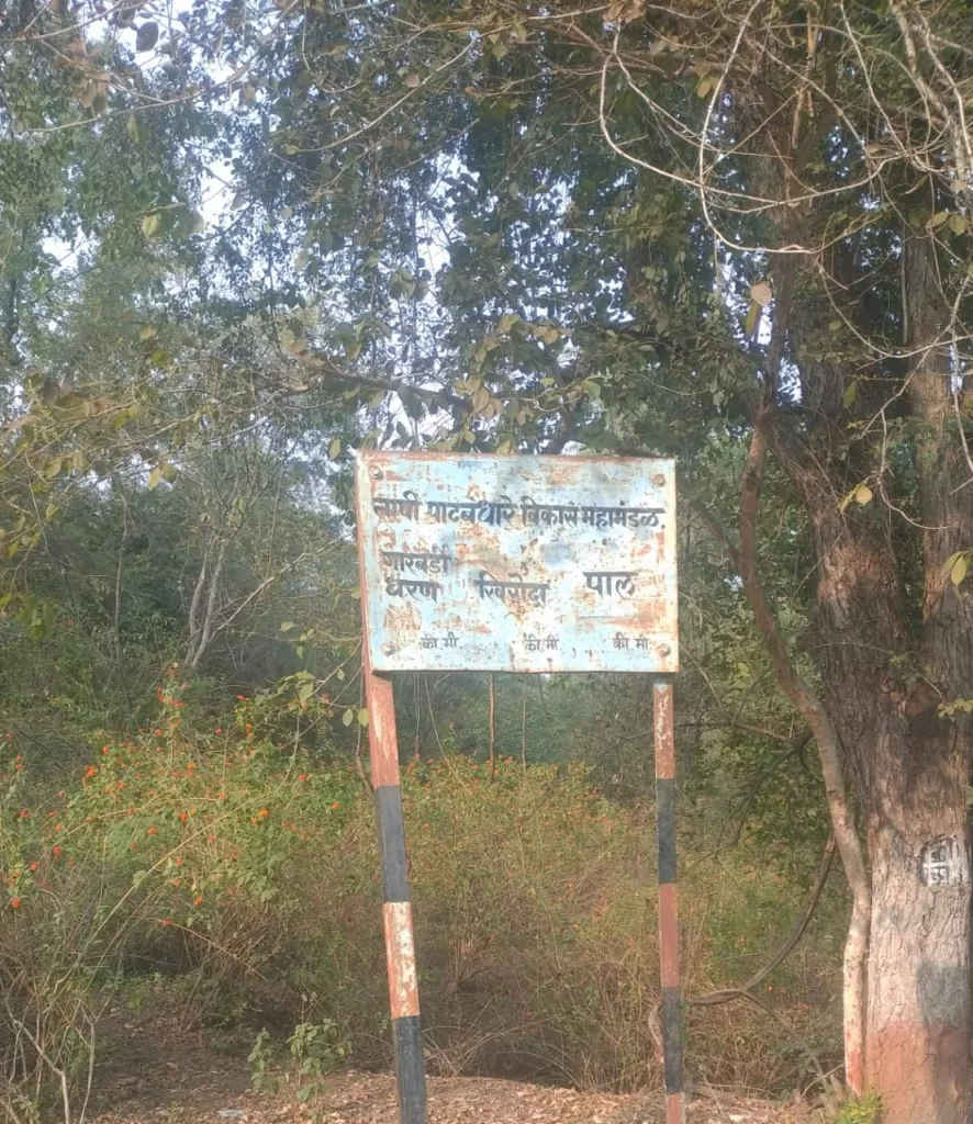 सरकार की घोर अनदेखी से ख़त्म हो गया जंगल, सूखा अभयारण्य बना सातपुडा बीहड़ | New India Times