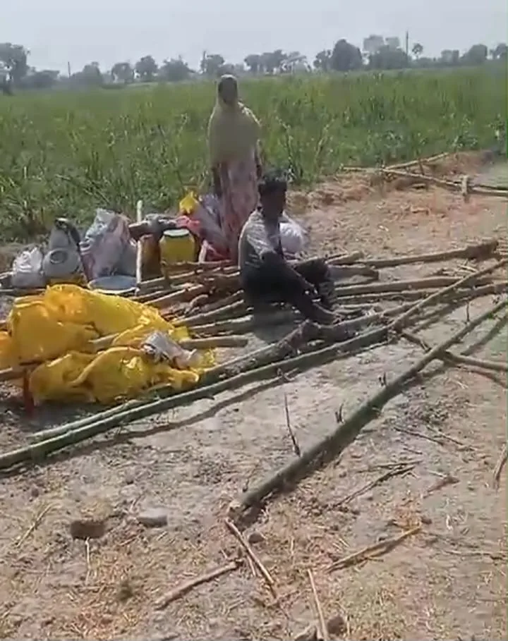 लेखपाल की दबंगई के आगे ज़िम्मेदार नतमस्तक, लेखपाल कर रहा है मनमानी | New India Times