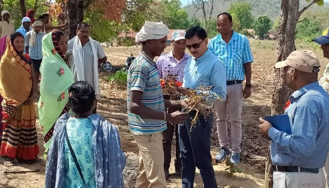 कलेक्टर ने निर्माण कार्यों का निरीक्षण कर दिए आवश्यक दिशा निर्देश | New India Times