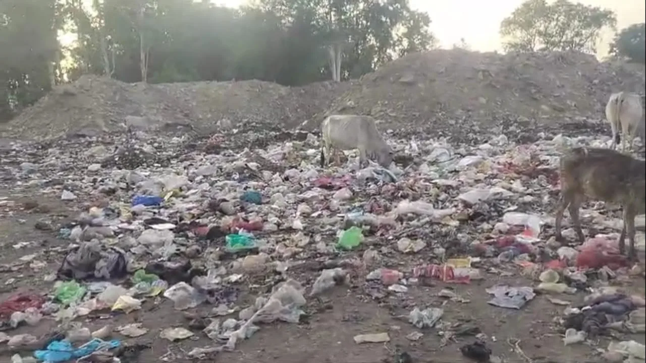 नगर अमानगंज का फील्ड ग्राउंड बना कचरा पखाना फेंकने का स्थल | New India Times