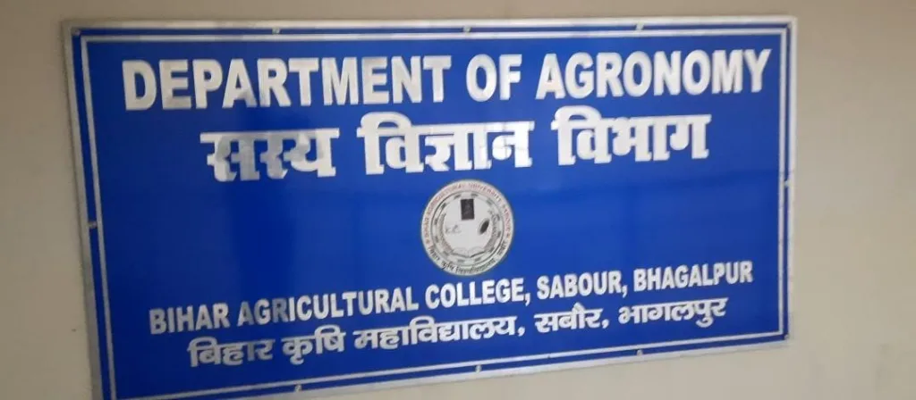 16 से 19 जुन के बीच मध्यम से भारी बारिश की संभावना, किसान लगा सकते हैं मध्यम अवधि वाले धान की नर्सरी: डॉ सुनील कुमार 2 16 से 19 जुन के बीच मध्यम से भारी बारिश की संभावना, किसान लगा सकते हैं मध्यम अवधि वाले धान की नर्सरी: डॉ सुनील कुमार | New India Times