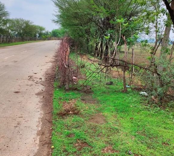 स्टेट हाइवे के आसपास अतिक्रमण, अतिक्रमण की वजह से रहता है हादसों का डर | New India Times