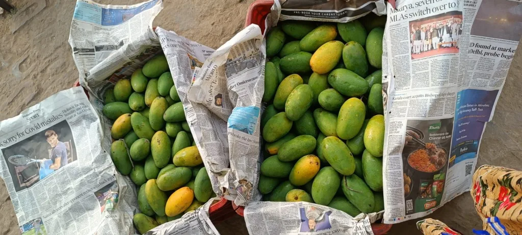 बृज यातायात एवं पर्यावरण जनजागरूकता समिति रजि उत्तर की महिला टीम ने स्ट्रीट स्कूलों के बच्चों को बांटे फल | New India Times