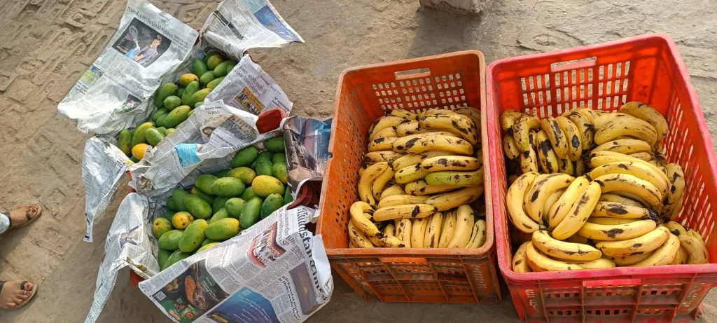 बृज यातायात एवं पर्यावरण जनजागरूकता समिति रजि उत्तर की महिला टीम ने स्ट्रीट स्कूलों के बच्चों को बांटे फल | New India Times