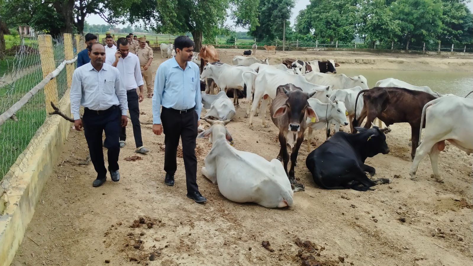 पशुओं के संरक्षण व सुरक्षा हेतु विशेष जागरूकता शिविर का हुआ आयोजन | New India Times
