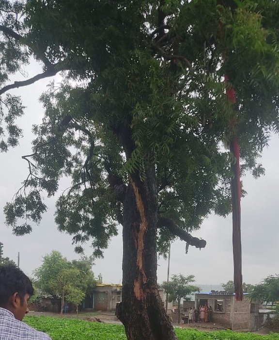 आकाशीय बिजली गिरने से धार के अर्जुन कॉलोनी में तीन बच्चों की मौत, एक बच्चा गंभीर, जिला अस्पताल में बच्चे का उपचार जारी | New India Times