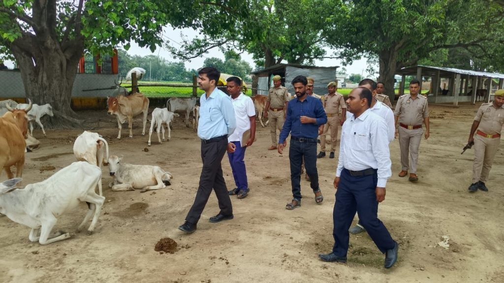 पशुओं के संरक्षण व सुरक्षा हेतु विशेष जागरूकता शिविर का हुआ आयोजन | New India Times