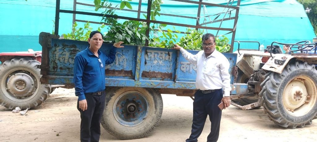 बृज यातायात एवं पर्यावरण जन जागरूकता रजि उत्तर प्रदेश को सरकार की तरफ से मिले निःशुल्क 1000 पौधे&nbsp;&nbsp;&nbsp;&nbsp;&nbsp;&nbsp;&nbsp;&nbsp;&nbsp;&nbsp; | New India Times
