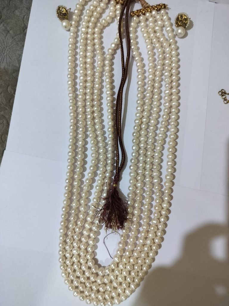 जयपुर के होटल में हो रहे शादी समारोह से गहनों भरा बैग चुराने वाले गिरोह को मध्य प्रदेश पुलिस ने गिरफ्तार कर 1 करोड़ 45 लाख रुपए का माल किया बरामद 4 जयपुर के होटल में हो रहे शादी समारोह से गहनों भरा बैग चुराने वाले गिरोह को मध्य प्रदेश पुलिस ने गिरफ्तार कर 1 करोड़ 45 लाख रुपए का माल किया बरामद | New India Times