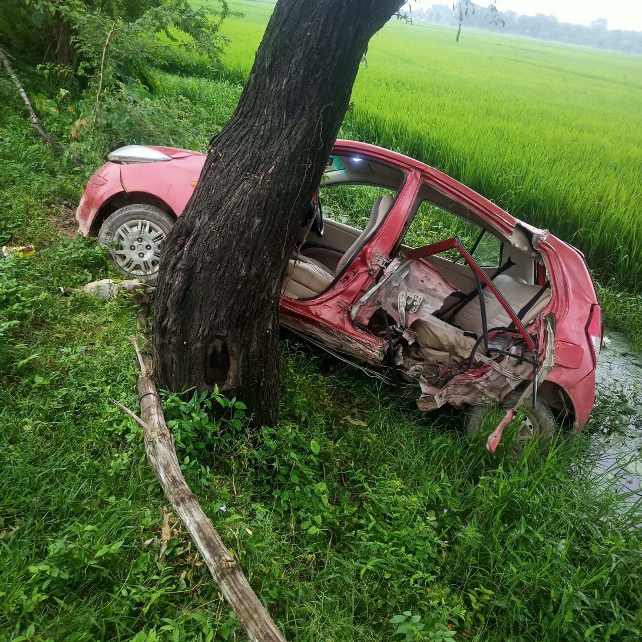 शोहरतगढ़-बढ़नी मार्ग पर NH-730, हलौरा टोल प्लाजा के पास भीषण सड़क दुर्घटना 1 शोहरतगढ़-बढ़नी मार्ग पर NH-730, हलौरा टोल प्लाजा के पास भीषण सड़क दुर्घटना | New India Times