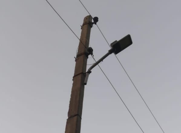 नगर पंचायत पीपीगंज के वार्ड नंबर 5 में ख़राब लाइटों के कारण बढ़ी चोरी की वारदातें | New India Times