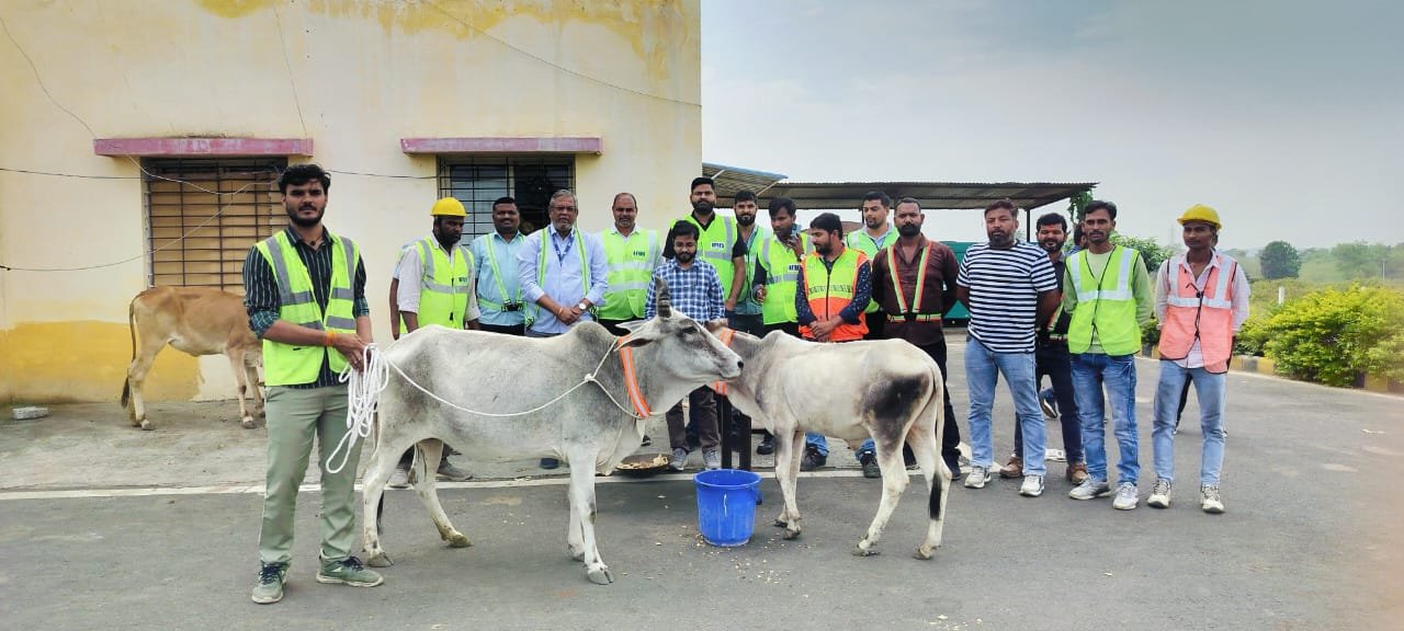 NH 44 पर निराश्रित गोवंश को दुर्घटना से बचाने हेतु रिफ्लेक्टिव कॉलर लगाने का आभियान शुरू | New India Times