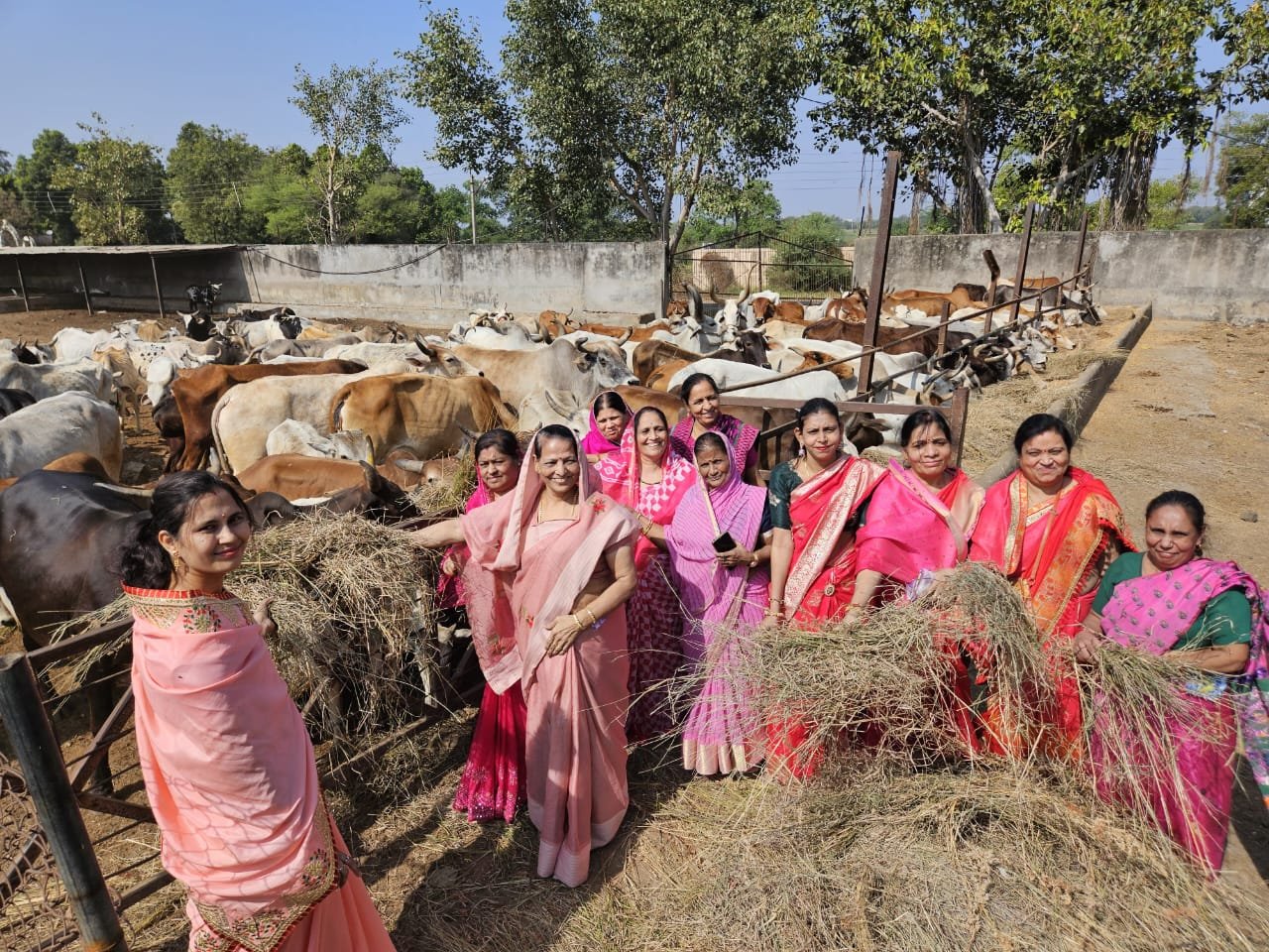 गौसेवा के साथ किया त्रि दिवसीय महोत्सव का आगाज़ | New India Times