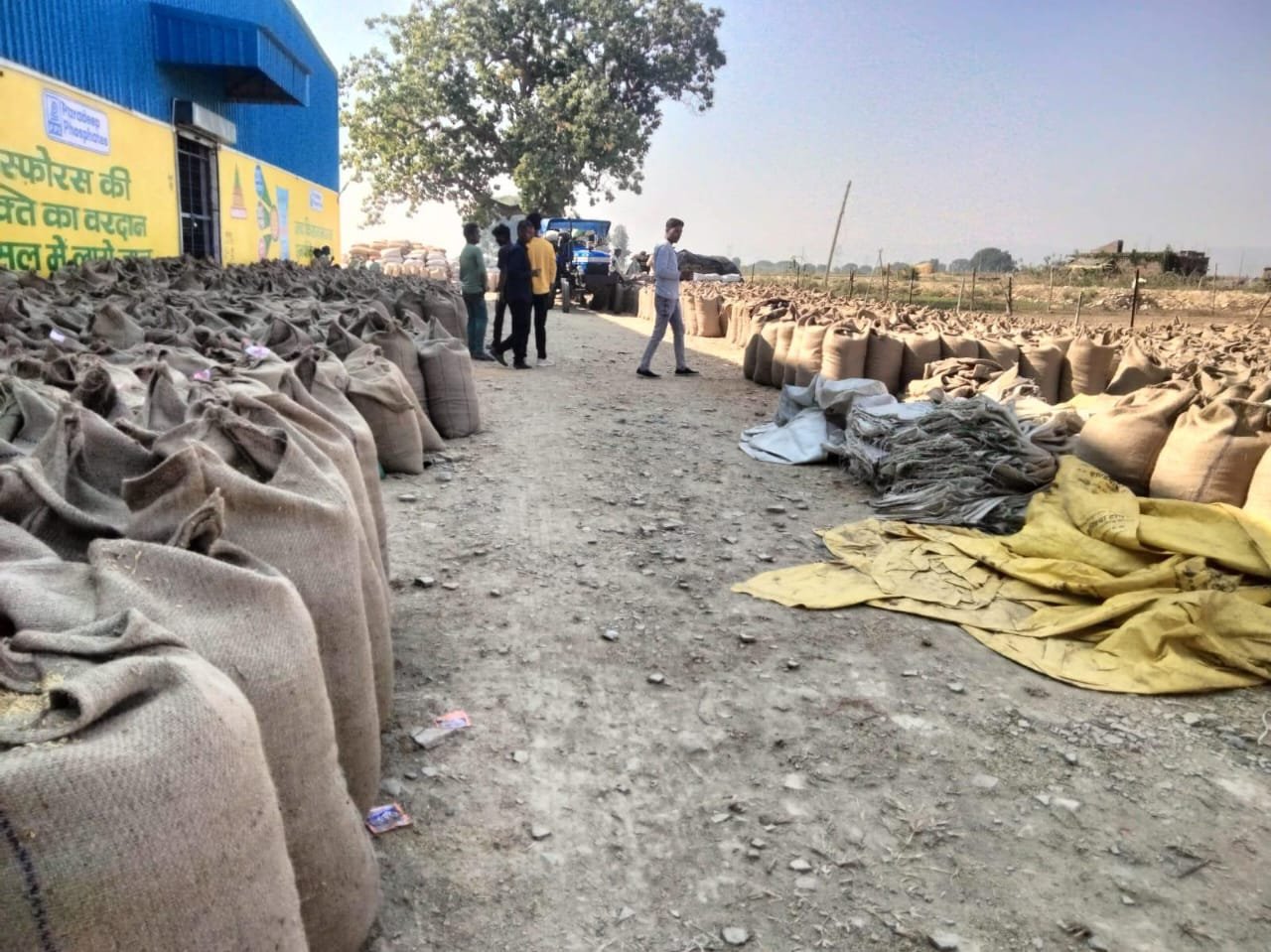 सेवा सहकारी समिति मसमासी उपार्जन केन्द्र महर्षि मार्कण्डेय वेयर हाउस मिरगौती तुलाई में खुलेआम चल रहा है किसानों से पैसा उगाही | New India Times