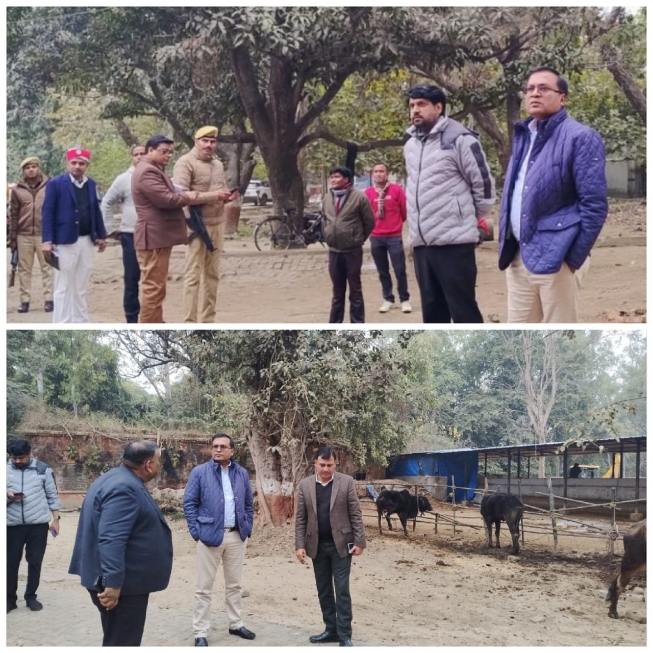 डीएम धर्मेंद्र प्रताप सिंह ने नंदीशाला के स्थानान्तरण करने के लिए किया निरीक्षण | New India Times