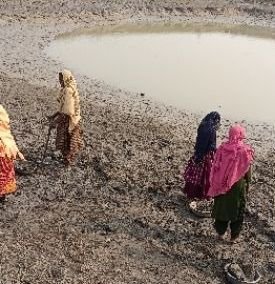 हाजिरी 79 की मौके पर मजदूर कम, एंगल बदल कर चल रहा है काम, इटवा विकास खण्ड के ग्राम पंचायत सुहेलवा का मामला | New India Times