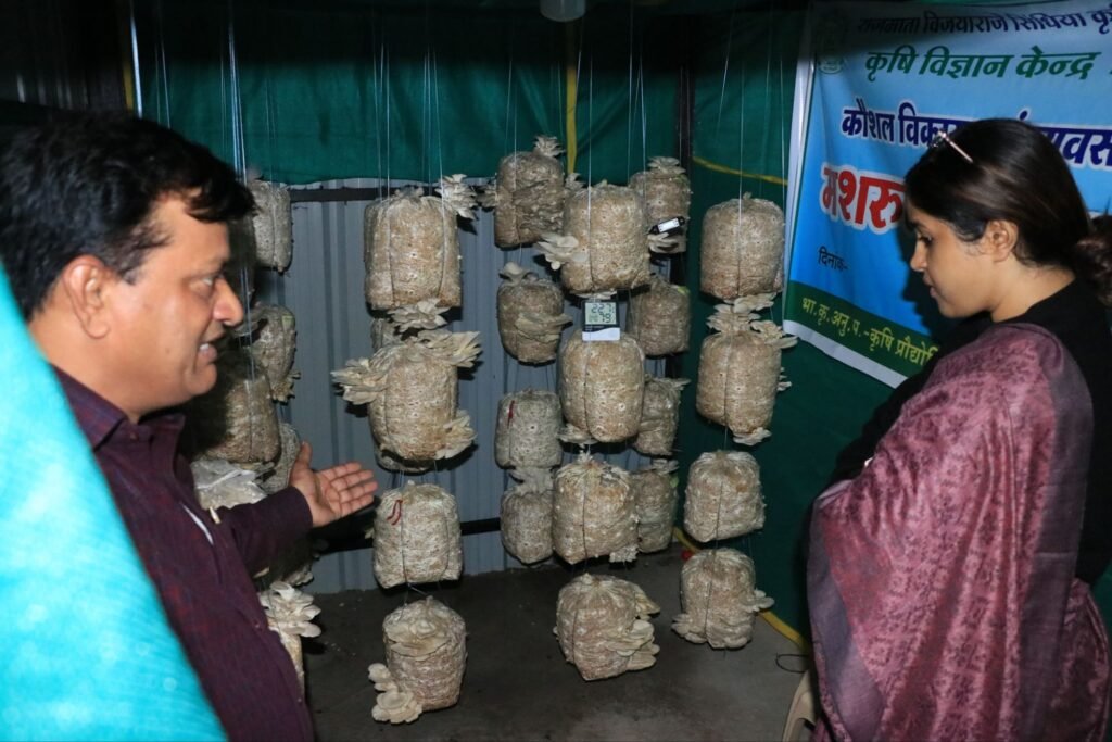 जिला कलेक्टर नेहा मीना ने किया झाबुआ कृषि विज्ञान केन्द्र का निरीक्षण | New India Times