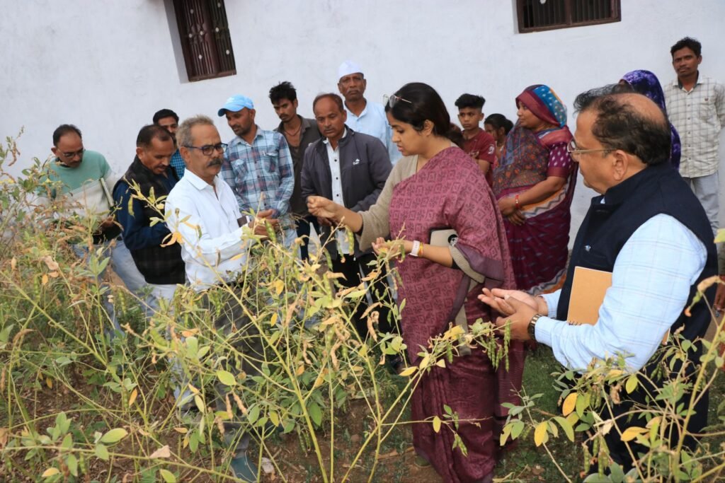 कलेक्टर द्वारा सजेली मालजी सात का किया गया निरीक्षण, सचिव के उपस्थित ना होने एवं कार्य में लापरवाही बरतने के कारण नोटिस दिए जाने हेतु दिए निर्देश | New India Times