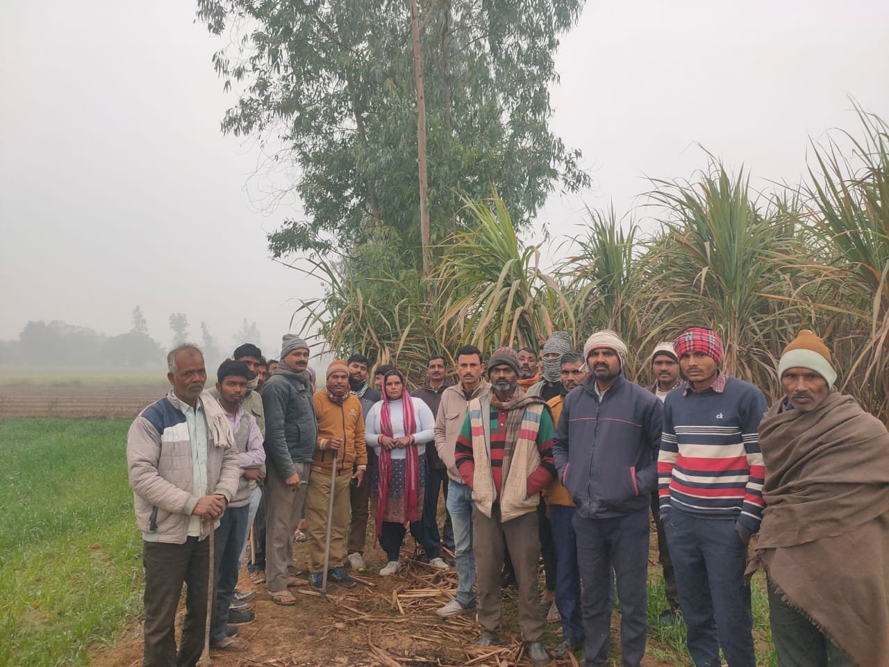 बिलहरी बीट के गांव में फिर एक बार बाघ की दहशत, मौके पर किसान नेता अंजनी दीक्षित ने सभी किसानों को बाघ से प्रभावित स्थान से दूर रहने की दी हिदायत | New India Times
