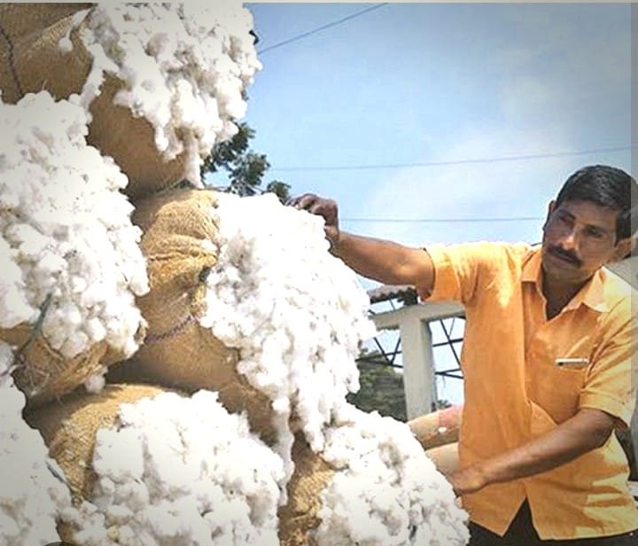 ग्रेडर और व्यापारियों की मिलीभगत: 6800 के दाम से कपास बेचने को मजबूर किसान | New India Times