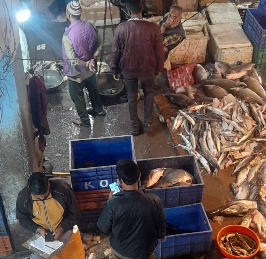 मत्स्य विभाग की टीम का छापा, प्रतिबंधित मांगुर मछलियां नहीं मिली | New India Times