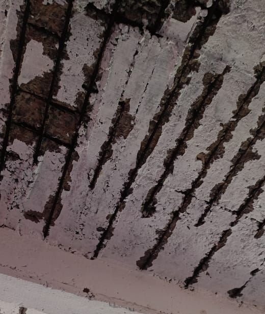 आदिवासी छात्र संगठन ने सहायक आयुक्त से मुलाकात कर ग्रामीण क्षेत्रों की स्कूलों की हालतों से कराया अवगत | New India Times